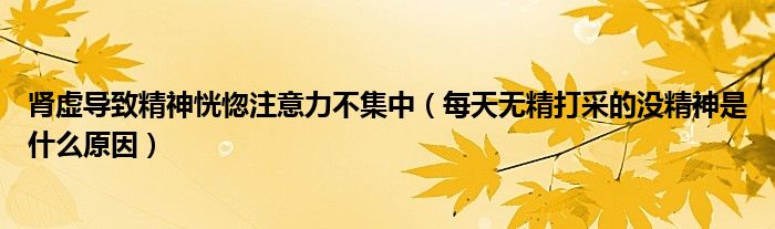 腎虛導(dǎo)致精神恍惚注意力不集中（每天無精打采的沒精神是什么原因）