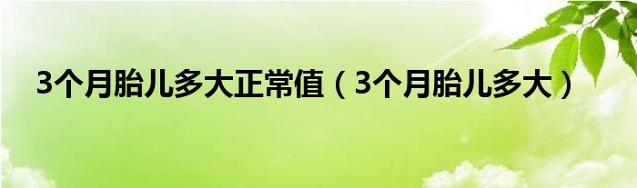 3個(gè)月胎兒多大正常值（3個(gè)月胎兒多大）