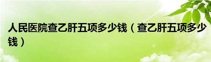 人民醫(yī)院查乙肝五項多少錢（查乙肝五項多少錢）