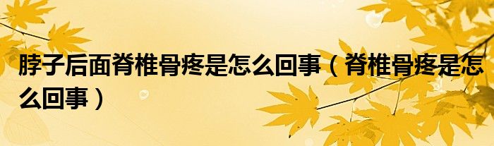 脖子后面脊椎骨疼是怎么回事（脊椎骨疼是怎么回事）