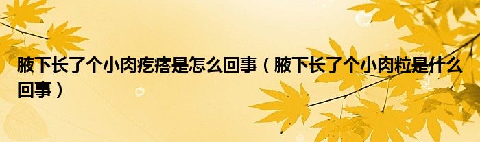 腋下長了個(gè)小肉疙瘩是怎么回事（腋下長了個(gè)小肉粒是什么回事）