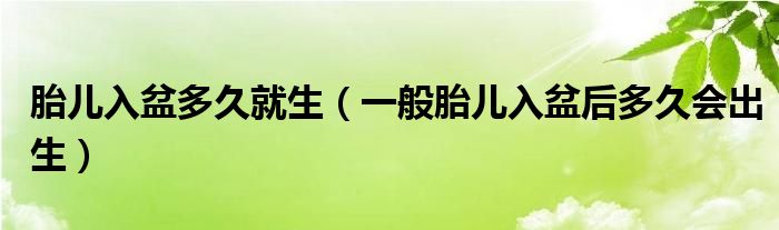 胎兒入盆多久就生（一般胎兒入盆后多久會(huì)出生）