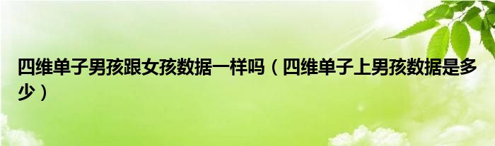 四維單子男孩跟女孩數(shù)據一樣嗎（四維單子上男孩數(shù)據是多少）