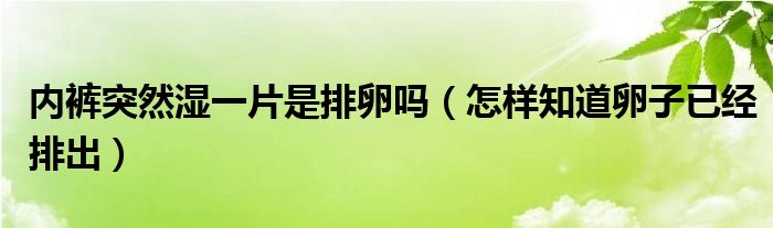 內(nèi)褲突然濕一片是排卵嗎（怎樣知道卵子已經(jīng)排出）