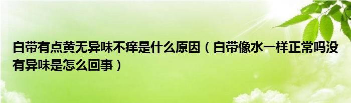 白帶有點(diǎn)黃無(wú)異味不癢是什么原因（白帶像水一樣正常嗎沒有異味是怎么回事）