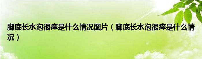 腳底長(zhǎng)水泡很癢是什么情況圖片（腳底長(zhǎng)水泡很癢是什么情況）