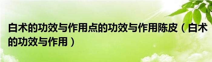 白術(shù)的功效與作用點(diǎn)的功效與作用陳皮（白術(shù)的功效與作用）