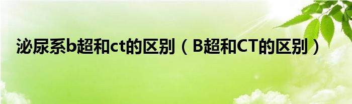 泌尿系b超和ct的區(qū)別（B超和CT的區(qū)別）