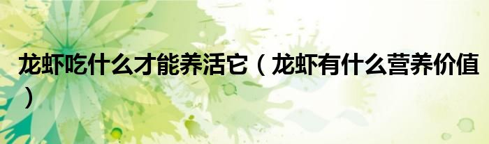 龍蝦吃什么才能養(yǎng)活它（龍蝦有什么營養(yǎng)價(jià)值）