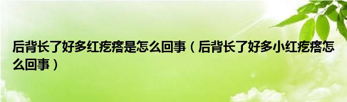 后背長了好多紅疙瘩是怎么回事（后背長了好多小紅疙瘩怎么回事）