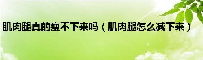 肌肉腿真的瘦不下來嗎（肌肉腿怎么減下來）