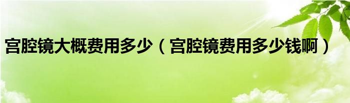 宮腔鏡大概費用多少（宮腔鏡費用多少錢啊）