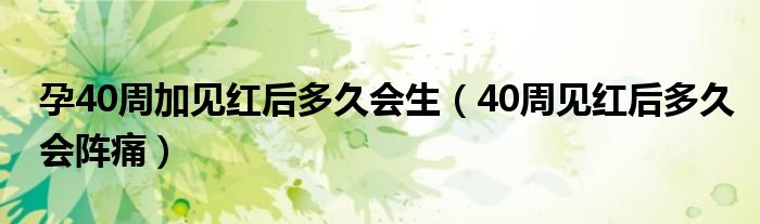 孕40周加見紅后多久會生（40周見紅后多久會陣痛）