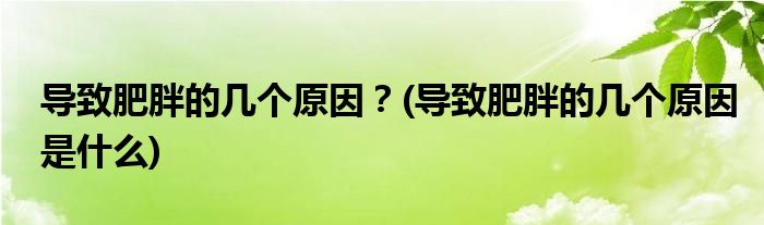 導致肥胖的幾個原因？(導致肥胖的幾個原因是什么)