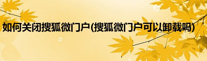 如何關(guān)閉搜狐微門(mén)戶(hù)(搜狐微門(mén)戶(hù)可以卸載嗎)