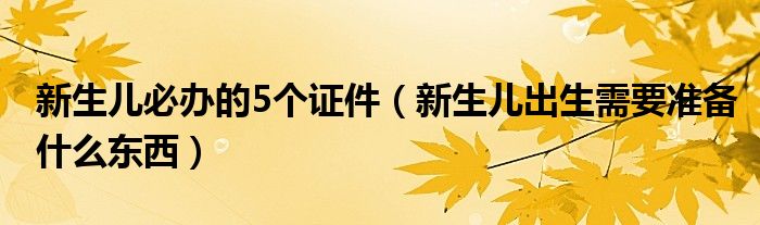 新生兒必辦的5個證件（新生兒出生需要準(zhǔn)備什么東西）