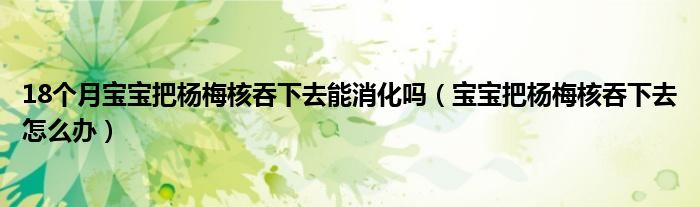 18個月寶寶把楊梅核吞下去能消化嗎（寶寶把楊梅核吞下去怎么辦）