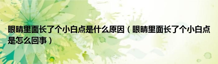 眼睛里面長(zhǎng)了個(gè)小白點(diǎn)是什么原因（眼睛里面長(zhǎng)了個(gè)小白點(diǎn)是怎么回事）