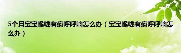 5個(gè)月寶寶喉嚨有痰呼呼響怎么辦（寶寶喉嚨有痰呼呼響怎么辦）