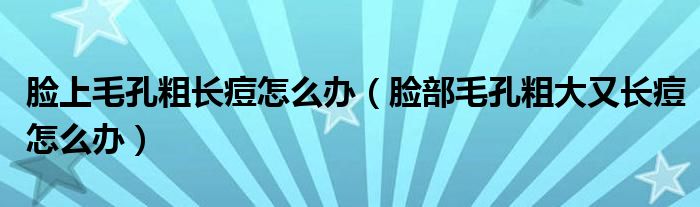 臉上毛孔粗長痘怎么辦（臉部毛孔粗大又長痘怎么辦）