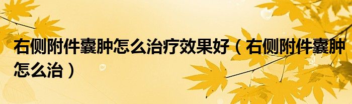 右側(cè)附件囊腫怎么治療效果好（右側(cè)附件囊腫怎么治）