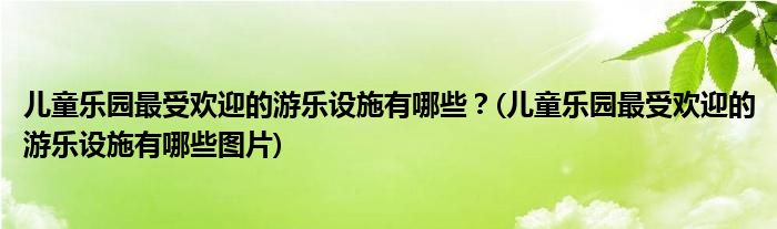 兒童樂(lè)園最受歡迎的游樂(lè)設(shè)施有哪些？(兒童樂(lè)園最受歡迎的游樂(lè)設(shè)施有哪些圖片)