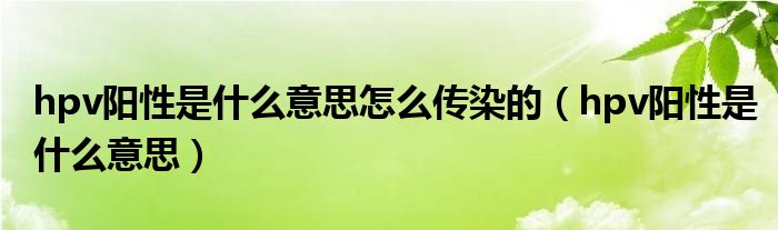 hpv陽(yáng)性是什么意思怎么傳染的（hpv陽(yáng)性是什么意思）