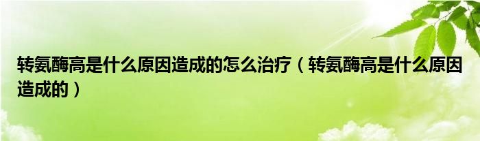 轉(zhuǎn)氨酶高是什么原因造成的怎么治療（轉(zhuǎn)氨酶高是什么原因造成的）