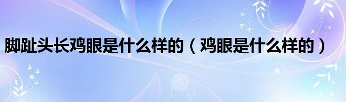 腳趾頭長雞眼是什么樣的（雞眼是什么樣的）