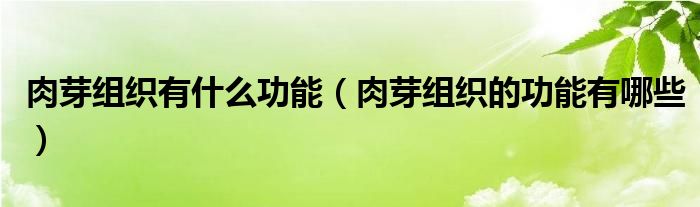 肉芽組織有什么功能（肉芽組織的功能有哪些）