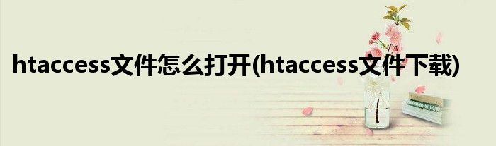 htaccess文件怎么打開(htaccess文件下載)