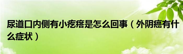 尿道口內側有小疙瘩是怎么回事（外陰癌有什么癥狀）