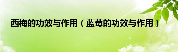 西梅的功效與作用（藍(lán)莓的功效與作用）