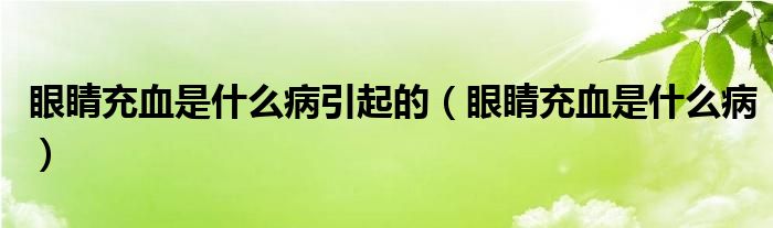 眼睛充血是什么病引起的（眼睛充血是什么?。?class='thumb lazy' /></a>
		    <header>
		<h2><a  href=