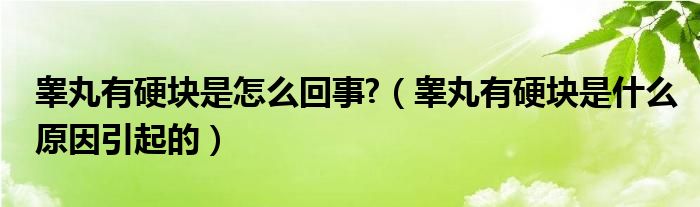 睪丸有硬塊是怎么回事?（睪丸有硬塊是什么原因引起的）