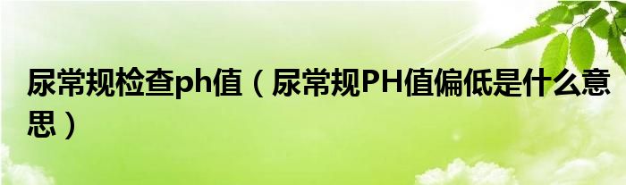 尿常規(guī)檢查ph值（尿常規(guī)PH值偏低是什么意思）