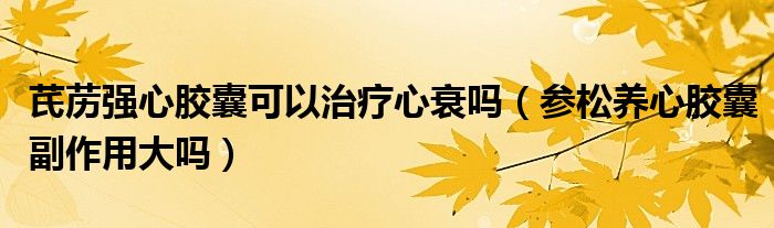 芪藶強(qiáng)心膠囊可以治療心衰嗎（參松養(yǎng)心膠囊副作用大嗎）