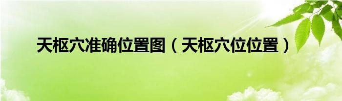 天樞穴準確位置圖（天樞穴位位置）