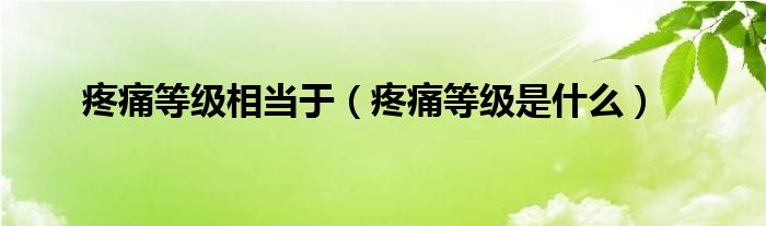 疼痛等級相當(dāng)于（疼痛等級是什么）