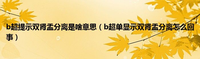 b超提示雙腎盂分離是啥意思（b超單顯示雙腎盂分離怎么回事）