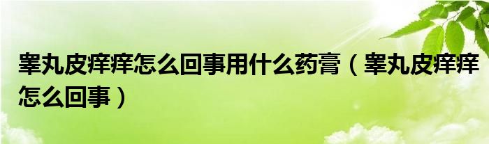 睪丸皮癢癢怎么回事用什么藥膏（睪丸皮癢癢怎么回事）