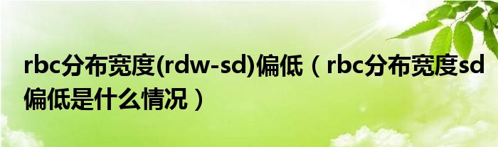 rbc分布寬度(rdw-sd)偏低（rbc分布寬度sd偏低是什么情況）