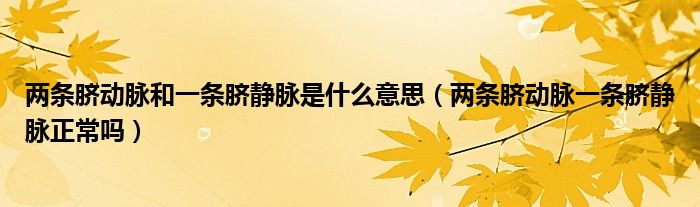 兩條臍動脈和一條臍靜脈是什么意思（兩條臍動脈一條臍靜脈正常嗎）