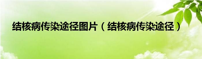 結核病傳染途徑圖片（結核病傳染途徑）