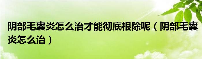 陰部毛囊炎怎么治才能徹底根除呢（陰部毛囊炎怎么治）