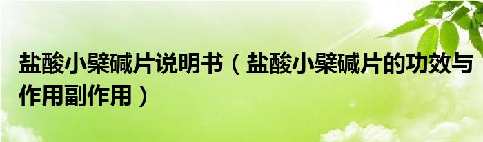 鹽酸小檗堿片說(shuō)明書(shū)（鹽酸小檗堿片的功效與作用副作用）