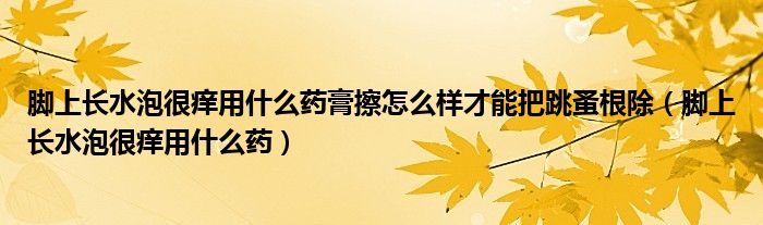 腳上長(zhǎng)水泡很癢用什么藥膏擦怎么樣才能把跳蚤根除（腳上長(zhǎng)水泡很癢用什么藥）