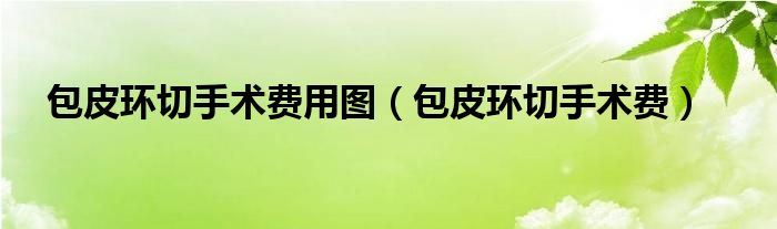 包皮環(huán)切手術(shù)費(fèi)用圖（包皮環(huán)切手術(shù)費(fèi)）