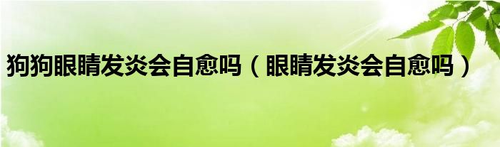 狗狗眼睛發(fā)炎會(huì)自愈嗎（眼睛發(fā)炎會(huì)自愈嗎）