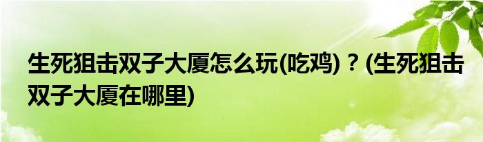 生死狙擊雙子大廈怎么玩(吃雞)？(生死狙擊雙子大廈在哪里)